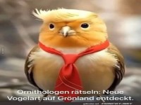 Vogel mit menschlicher Frisur gesichtet