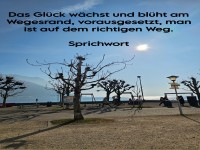 das gl�ck w�chst