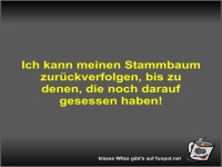 Ich kann meinen Stammbaum zur�ckverfolgen