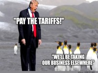 Penguins Negotiating Tariffs