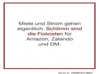 Lustiger Spruch über Fixkosten für Online-Shops