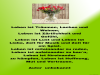 weiter