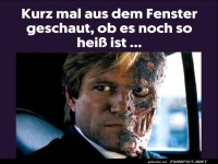 Witziger Blick aus dem Fenster im Sommer