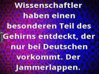 Neuer Gehirnteil entdeckt: Der Jammerlappen!