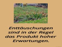 entt�uschungen sind in der regel
