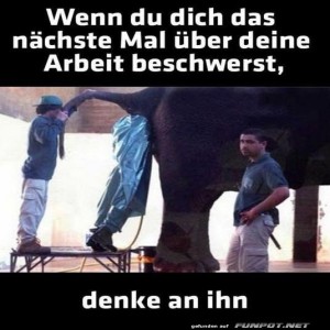 fun-Bild: Bürojob plötzlich gar nicht so schlecht!