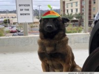 Neuer 'Officer of the Month' mit Stil