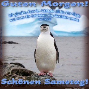 Pinguin-Grüße-am-Südpol-Samstag.jpg von Justin