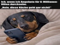 Luxus-Checker auf Pfoten