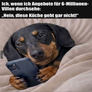 Luxus-Checker-auf-Pfoten.jpg von Tarik1967