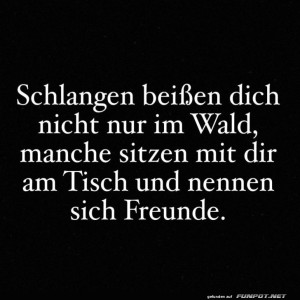 Schlangen.jpg von Leona