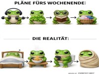 Frosch des Wochenendes: Pl�ne vs. Realit�t