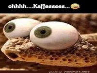 Kaffee in Sicht