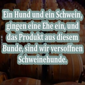 Wenn-Schweinehunde-heiraten....jpg von Queen92
