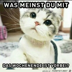 was-meinst-du.jpg auf www.funpot.net