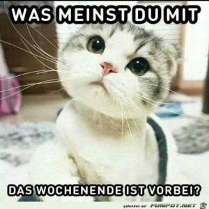 Begrüßungsbild