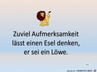 Zuviel Aufmerksamkeit