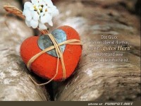 das glueck kommt ueberall dorthin