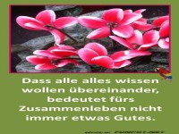 Dass alle alles wissen