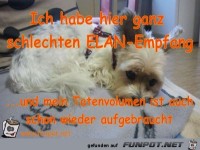 Ich habe hier ganz schlechten ELAN-Empfang