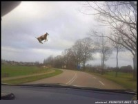 Sturmtief Friederike machts m�glich