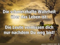 Die schmerzhafte Wahrheit