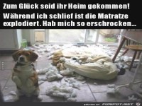 zum Gl�ck seid ihrr heimgekommen......