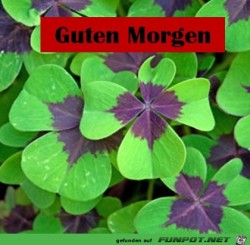 Guten-Morgen.jpg auf www.funpot.net
