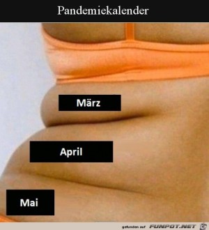 Der-Pandemie-Kalender-in-Speck-Rollen.jpg auf www.funpot.net