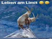 Leben am Limit