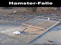Die Hamsterfalle 2020