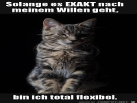 Solange es exakt nach meinem Willen geht...