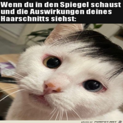 Super-Frisur.jpg von Mia