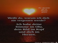 Weit du warum ich dich nicht vergessen werde