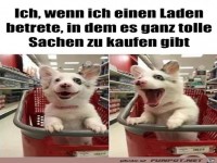 Volle Begeisterung