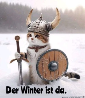 Der-Winter-ist-da.jpg auf www.funpot.net