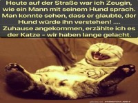 Lustige Geschichte �ber Mensch, Hund und Katze
