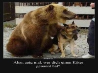 B�renstarke Freundschaft in der Nachbarschaft