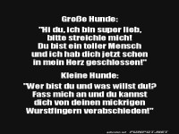 Gro�e Hunde vs. Kleine Hunde: Ein Dialog
