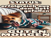 M�de Hundemode: Morgenmuffel Edition!