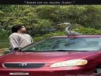 �berraschungsvogel �bernimmt Auto!