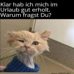 Erholt-oder-erschöpft?-Die-Urlaubsfrage!.jpg von Gabriel