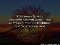 falsche Freunde