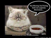 Von Montag bis Freitg