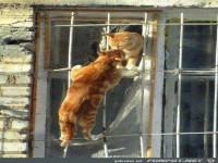 wahre Liebe