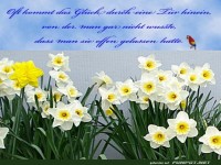 Das Glueck durch eine Tuer