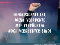 Freundschaft ist wenn Verrueckte