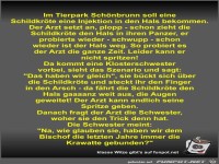 Im Tierpark Sch�nbrunn soll eine Schildkr�te eine Injektion