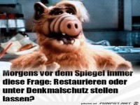 Morgens vor dem Spiegel
