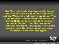 Ein Floh am Ende der langen Schlange vor Noahs Arche hat...